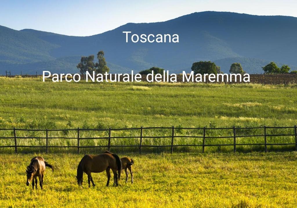 Appartamento La Libellula Grosseto Exterior foto